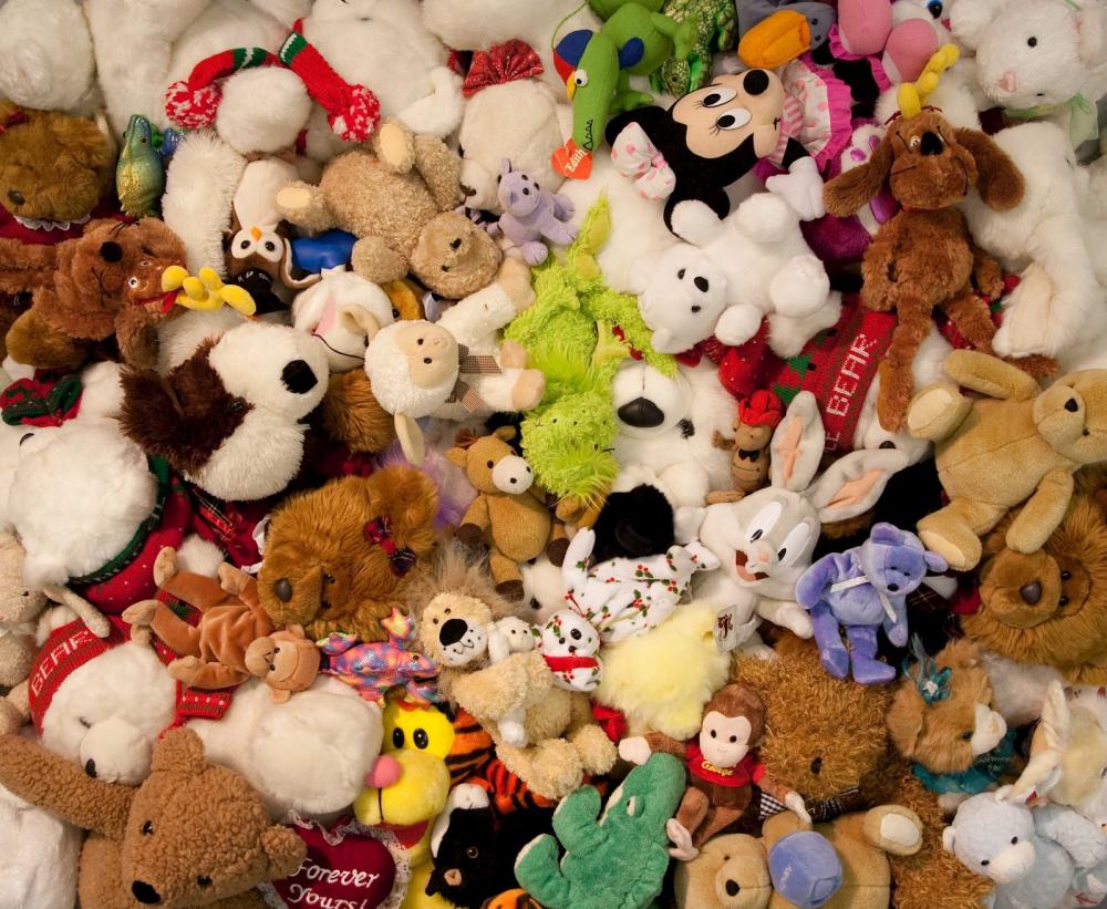 Stuffed body of Hachiko ( other notable) Stuffed body of Hachiko ( other notable)